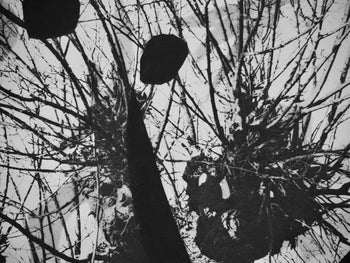 Pablo Picasso, Andr Villers, Le Corrigan Effeuill (Cramer 115), Diurnes, Dcoupages Et