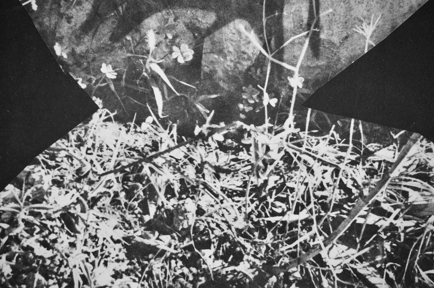 Pablo Picasso, Andr Villers, Un Gnral (Cramer 115), Diurnes, Dcoupages Et Photographies, Lithograph