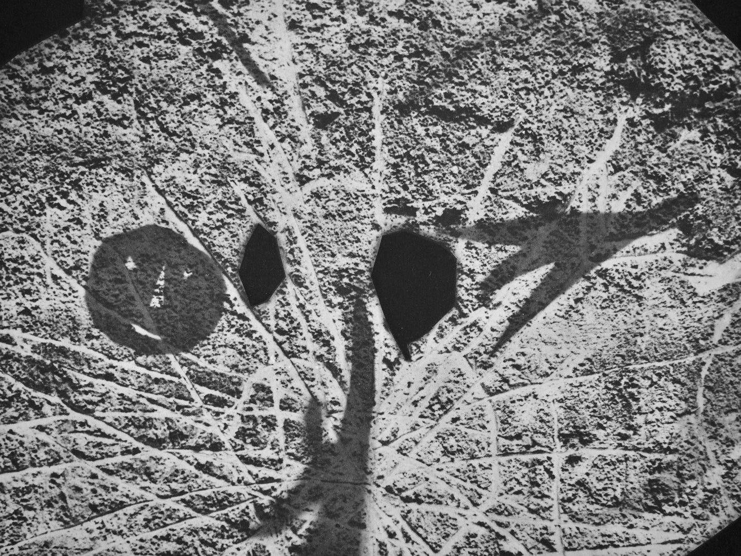 Pablo Picasso, Andr Villers, Tohu (Cramer 115), Diurnes, Dcoupages Et Photographies, Lithograph