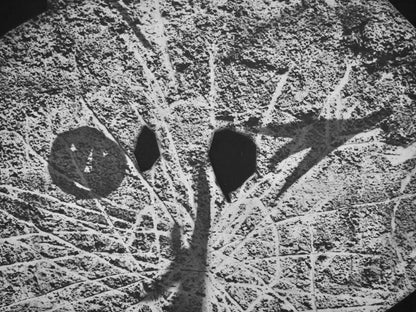 Pablo Picasso, Andr Villers, Tohu (Cramer 115), Diurnes, Dcoupages Et Photographies, Lithograph