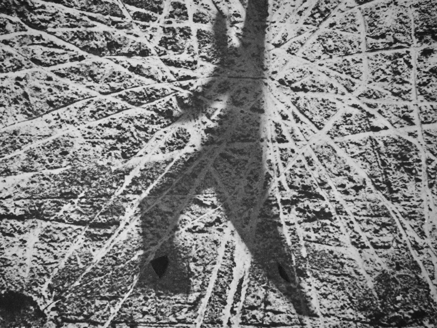 Pablo Picasso, Andr Villers, Tohu (Cramer 115), Diurnes, Dcoupages Et Photographies, Lithograph