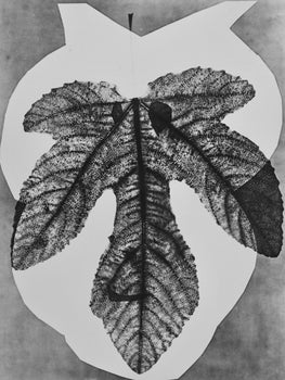 Pablo Picasso, Andr Villers, Midas (Cramer 115), Diurnes, Dcoupages Et Photographies, Lithograph