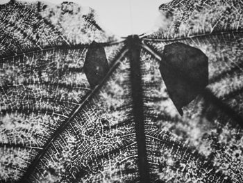 Pablo Picasso, Andr Villers, Midas (Cramer 115), Diurnes, Dcoupages Et Photographies, Lithograph