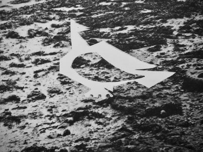 Pablo Picasso, Andr Villers, La Femme Au Bord De La Mer (Cramer 115), Diurnes, Dcoupages Et