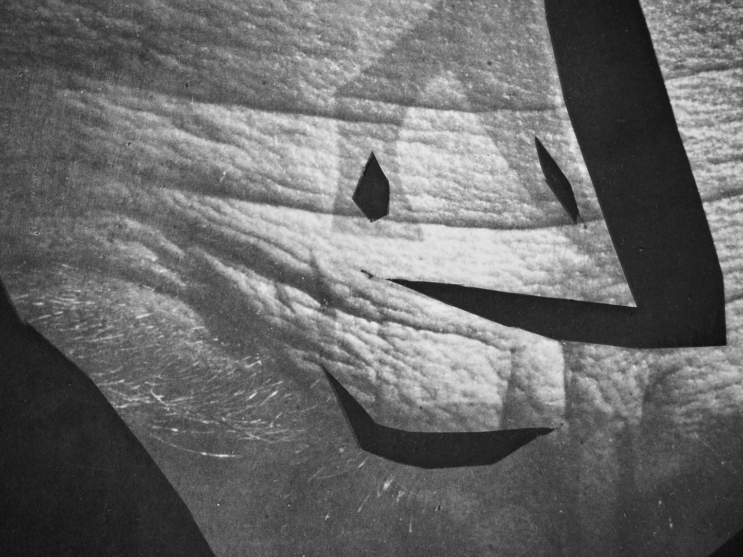 Pablo Picasso, Andr Villers, L'Esprit Critique D'Art (Cramer 115), Diurnes, Dcoupages Et