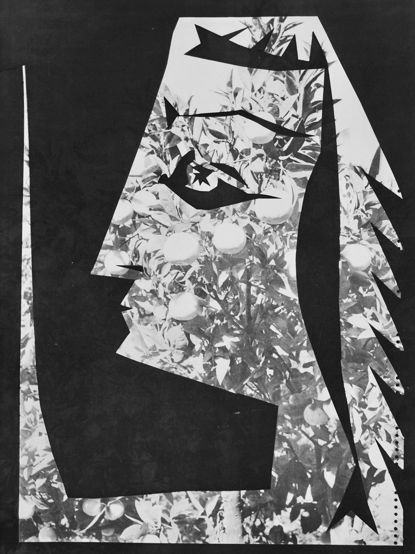 Pablo Picasso, Andr Villers, Jacqueline Aux Fruits (Cramer 115), Diurnes, Dcoupages Et