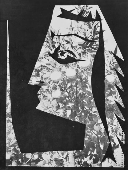 Pablo Picasso, Andr Villers, Jacqueline Aux Fruits (Cramer 115), Diurnes, Dcoupages Et