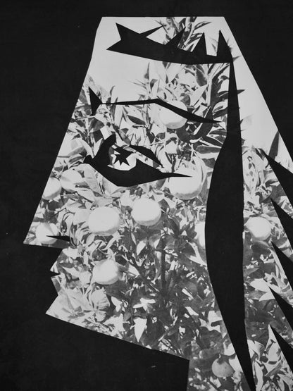 Pablo Picasso, Andr Villers, Jacqueline Aux Fruits (Cramer 115), Diurnes, Dcoupages Et