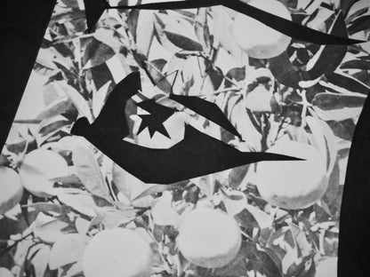 Pablo Picasso, Andr Villers, Jacqueline Aux Fruits (Cramer 115), Diurnes, Dcoupages Et