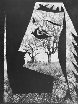 Pablo Picasso, Andr Villers, Jacqueline Aux Arbres (Cramer 115), Diurnes, Dcoupages Et