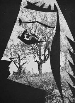 Pablo Picasso, Andr Villers, Jacqueline Aux Arbres (Cramer 115), Diurnes, Dcoupages Et