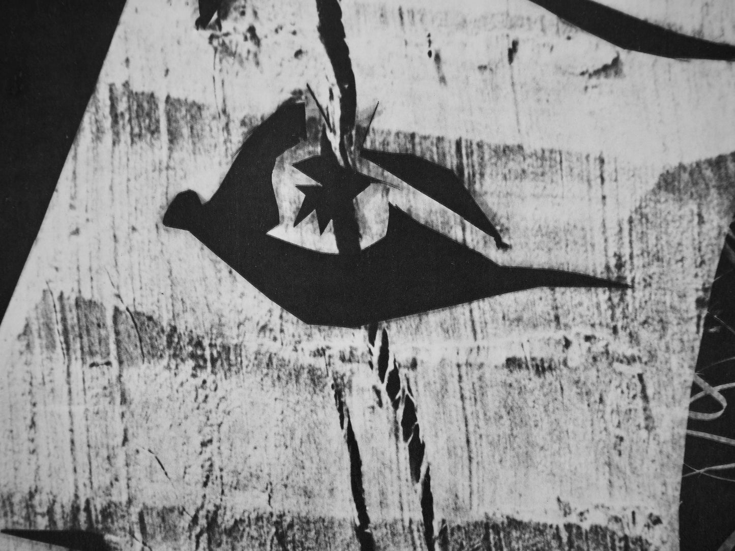 Pablo Picasso, Andr Villers, Jacqueline Au Regard D'Oiseau (Cramer 115), Diurnes, Dcoupages Et