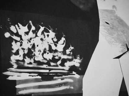 Pablo Picasso, Andr Villers, L'Homme L'Oiseau (Cramer 115), Diurnes, Dcoupages Et Photographies,