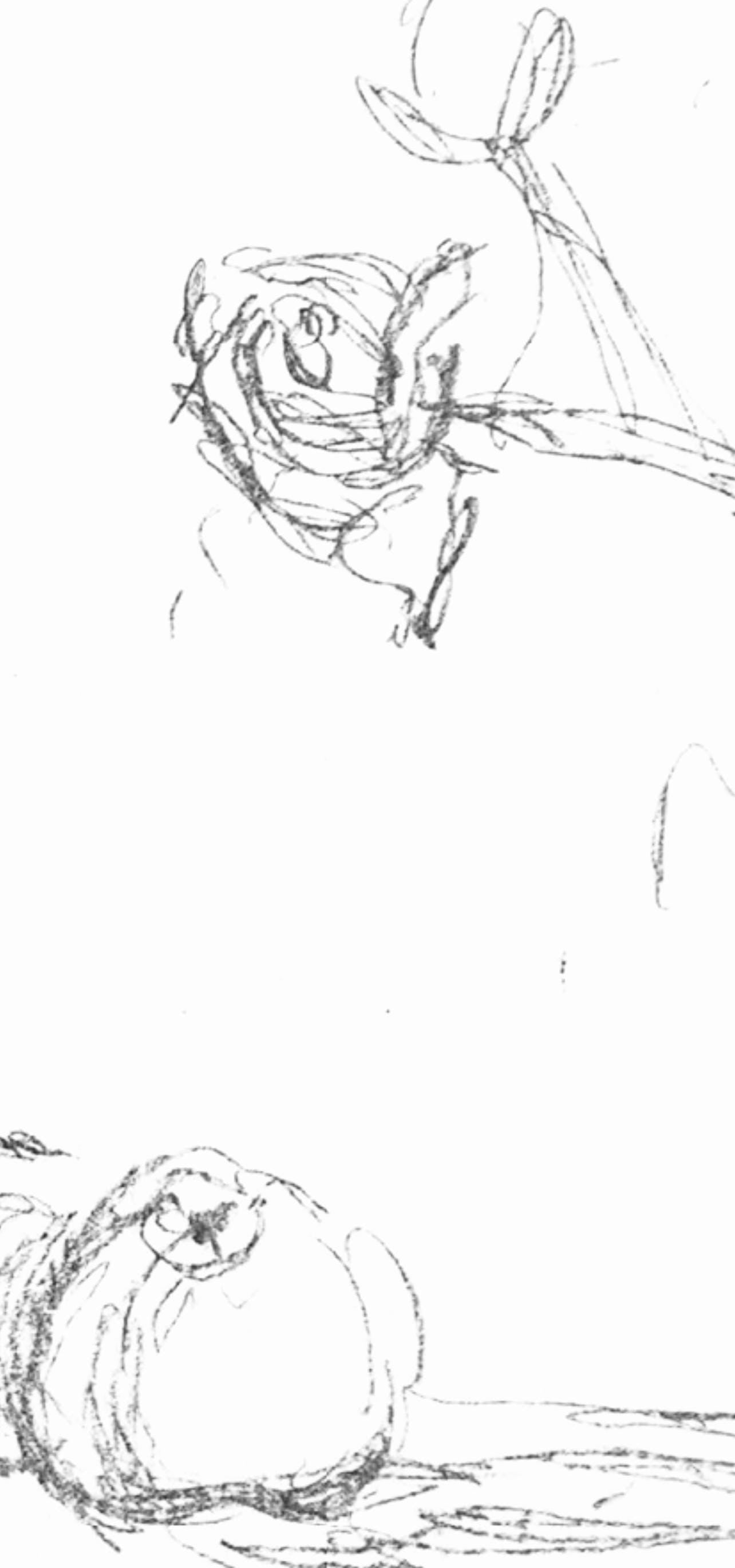 Alberto Giacometti, Fleurs, Souvenirs Et Portraits D'Artistes, Lithograph