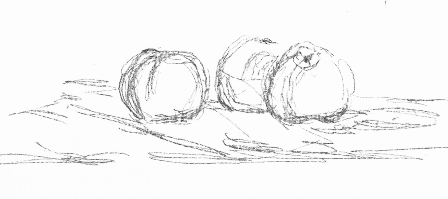 Alberto Giacometti, Fleurs, Souvenirs Et Portraits D'Artistes, Lithograph