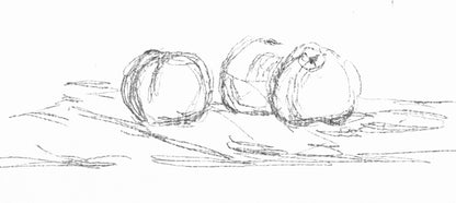 Alberto Giacometti, Fleurs, Souvenirs Et Portraits D'Artistes, Lithograph