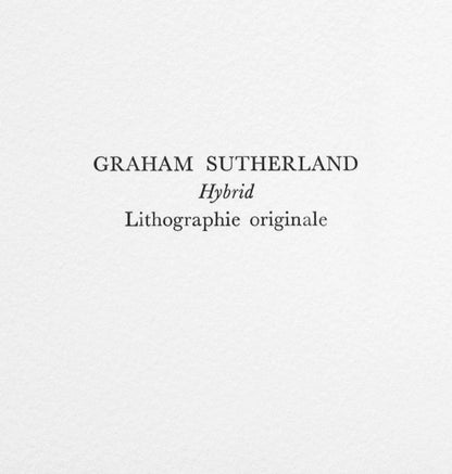 Graham Sutherland, Hybrid, Souvenirs Et Portraits D'Artistes, Lithograph