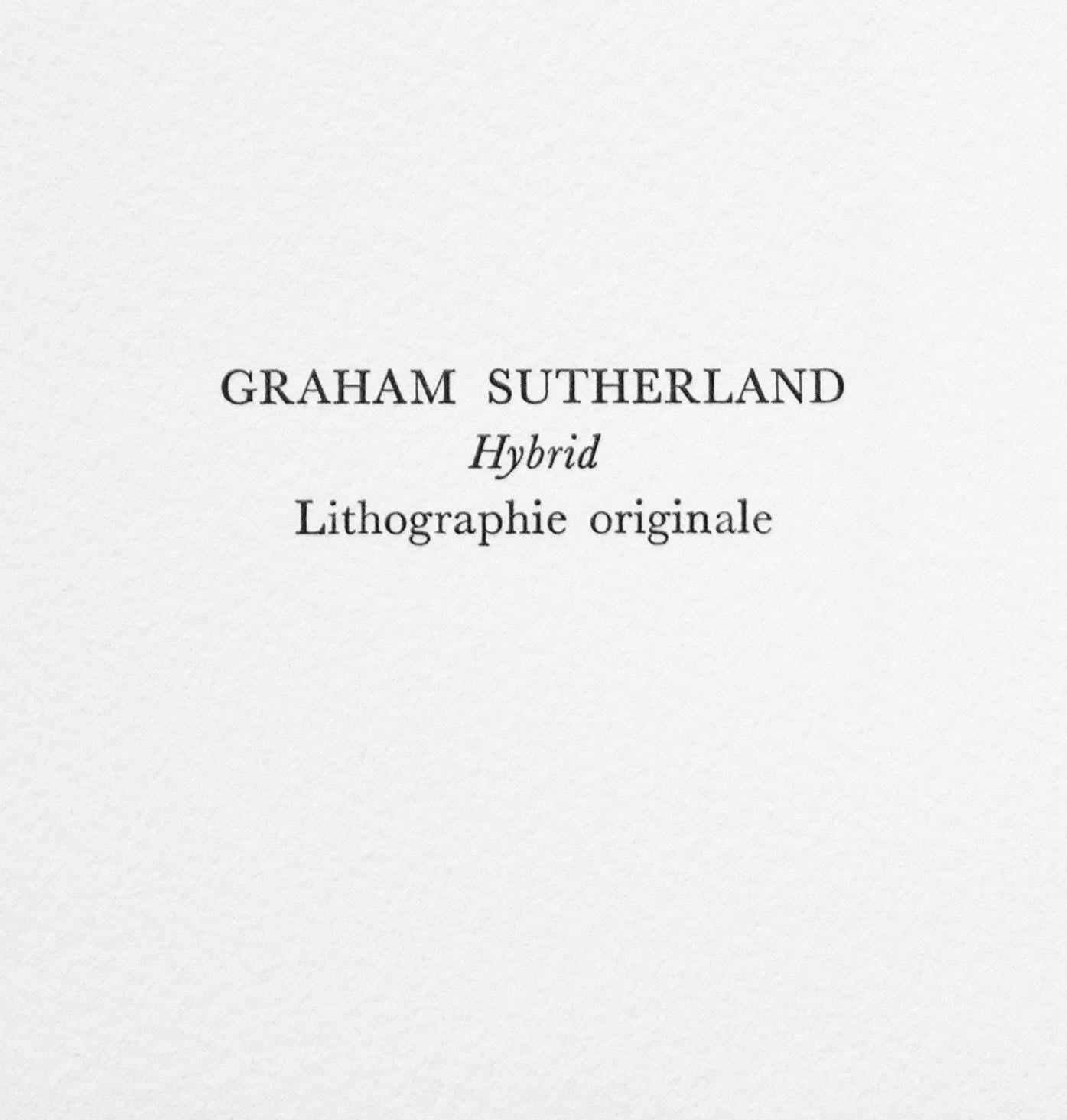 Graham Sutherland, Hybrid, Souvenirs Et Portraits D'Artistes, Lithograph