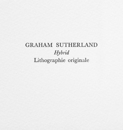 Graham Sutherland, Hybrid, Souvenirs Et Portraits D'Artistes, Lithograph