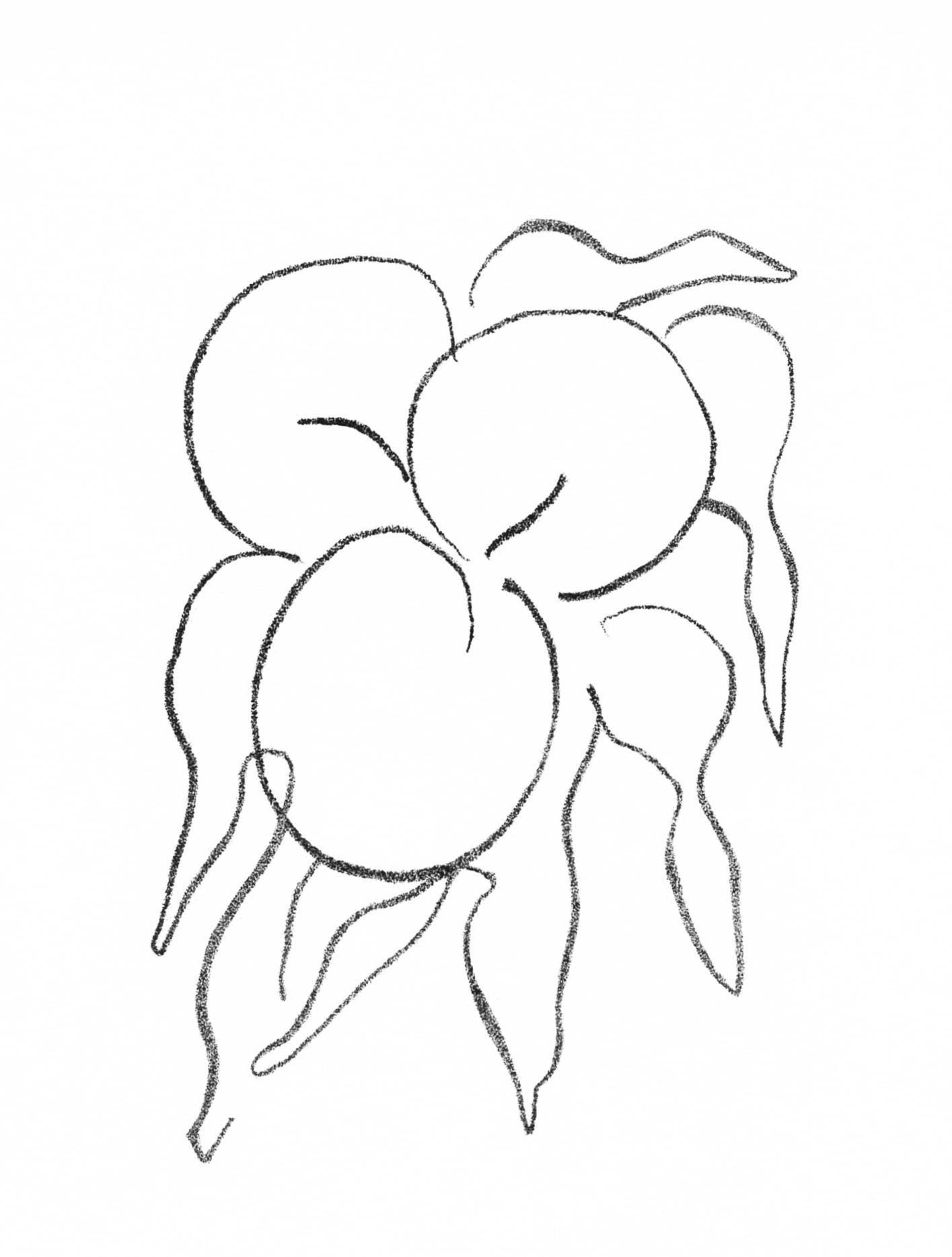 Henri Matisse, Fruits, Prints From The Mourlot Press, Lithograph