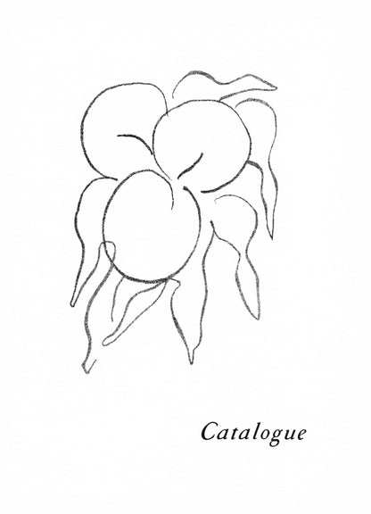 Henri Matisse, Fruits, Prints From The Mourlot Press, Lithograph