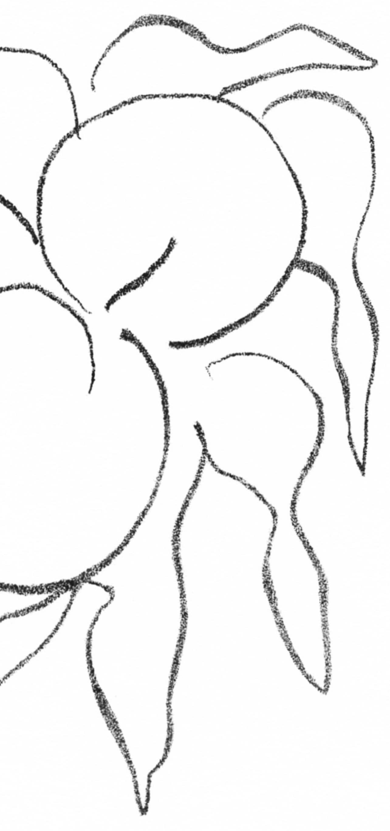 Henri Matisse, Fruits, Prints From The Mourlot Press, Lithograph