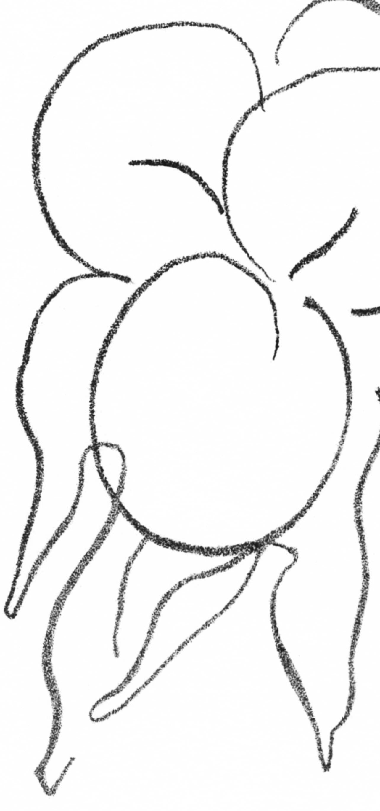 Henri Matisse, Fruits, Prints From The Mourlot Press, Lithograph