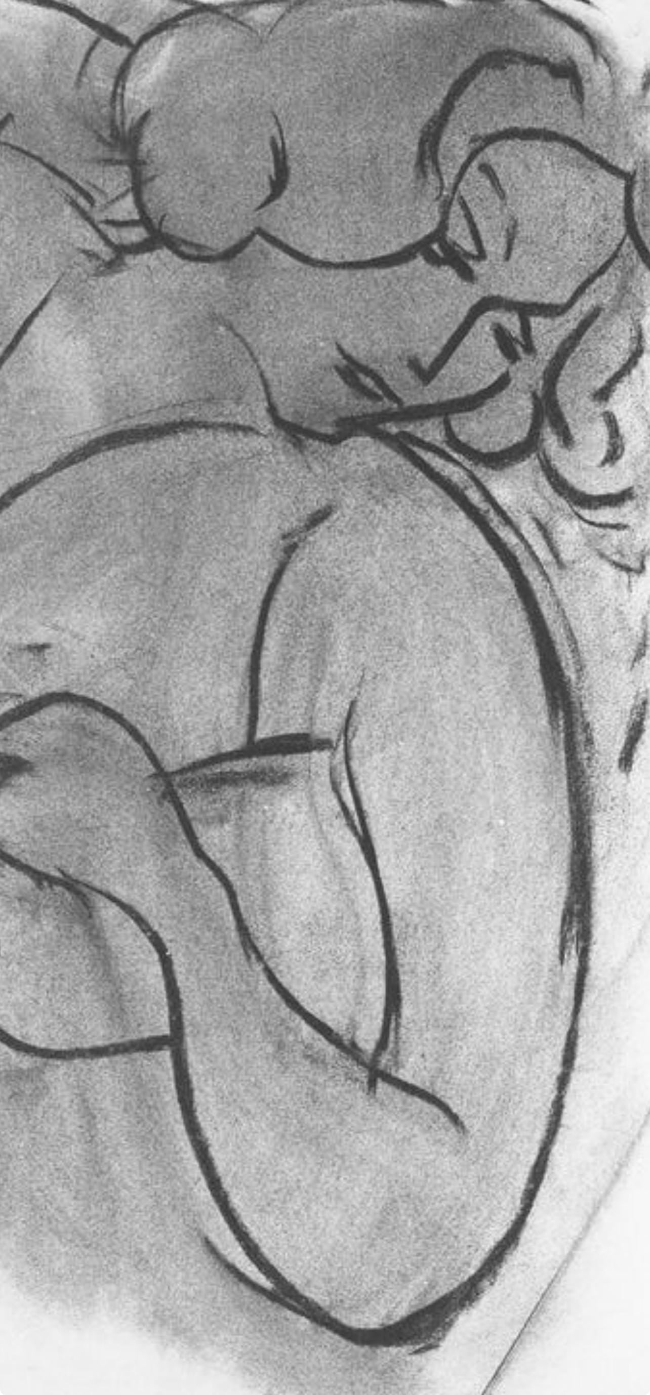 Henri Matisse, Srie B, Var. 1 (Duthuit 9), Henri Matisse, Dessins, Thmes Et Variations, Lithograph