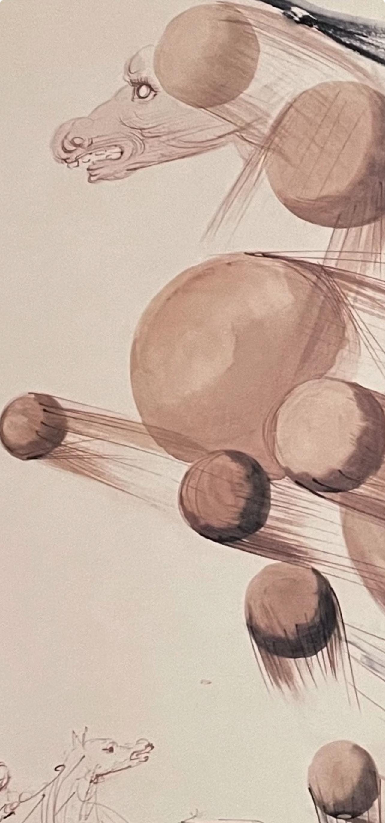 Salvador Dali, Transparent Horse, Signed, Lithograph