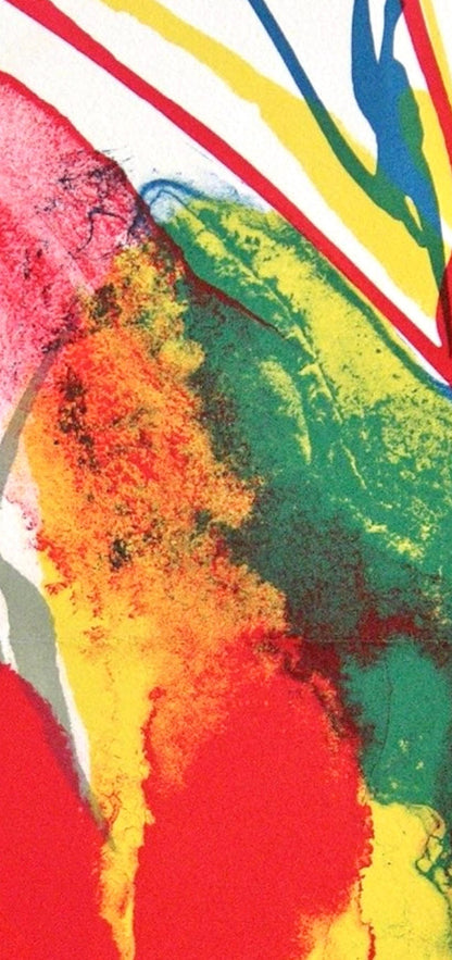 Paul Jenkins, Composition Pour Eric, Souvenirs Et Portraits D'Artistes, Lithograph