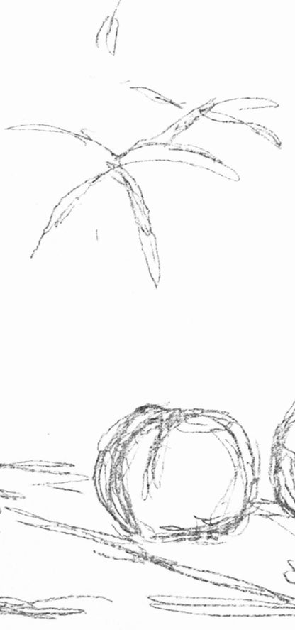 Alberto Giacometti, Fleurs, Souvenirs Et Portraits D'Artistes, Lithograph