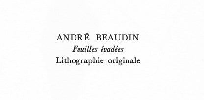Andre Beaudin, Feuilles Vades, Souvenirs Et Portraits D'Artistes, Lithograph