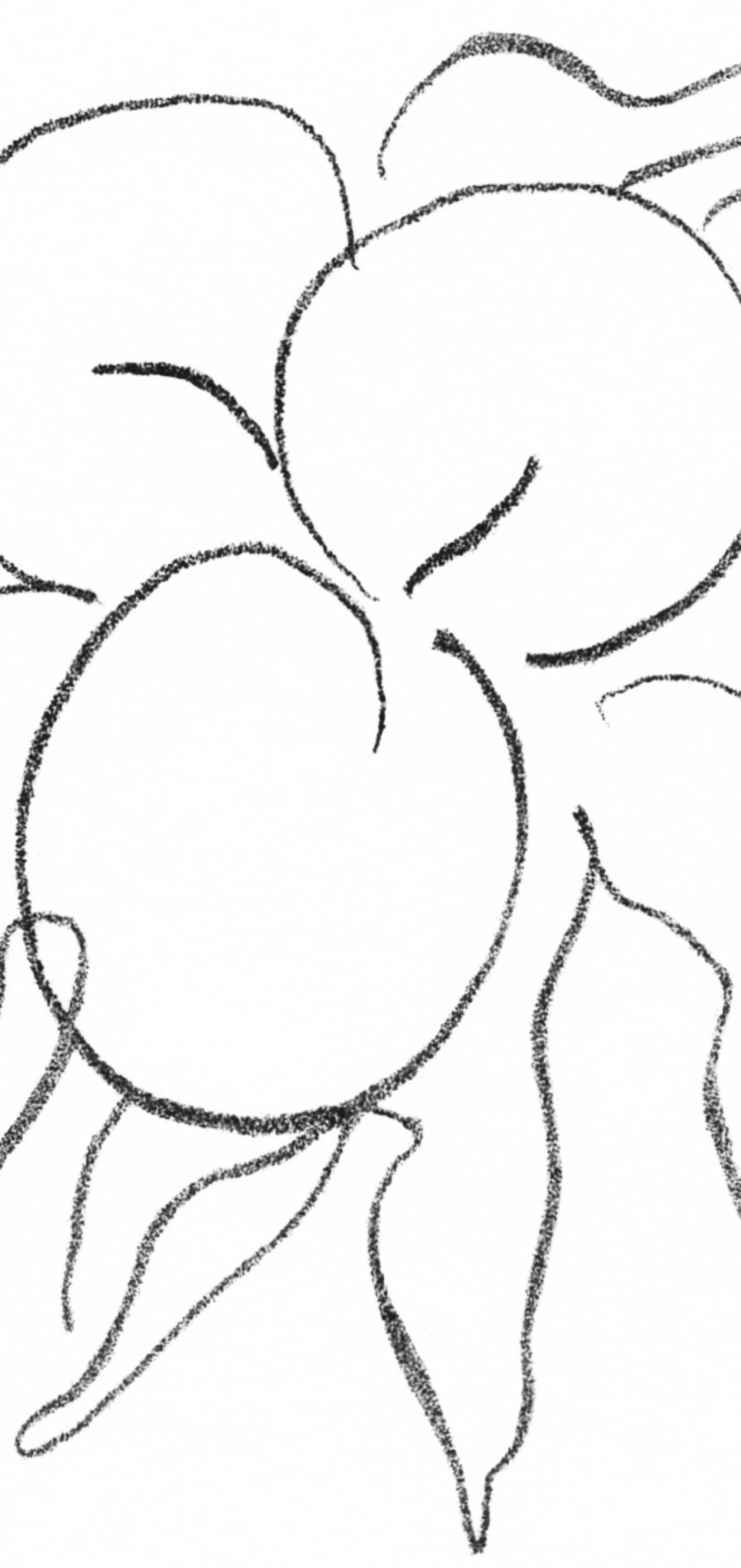 Henri Matisse, Fruits, Prints From The Mourlot Press, Lithograph