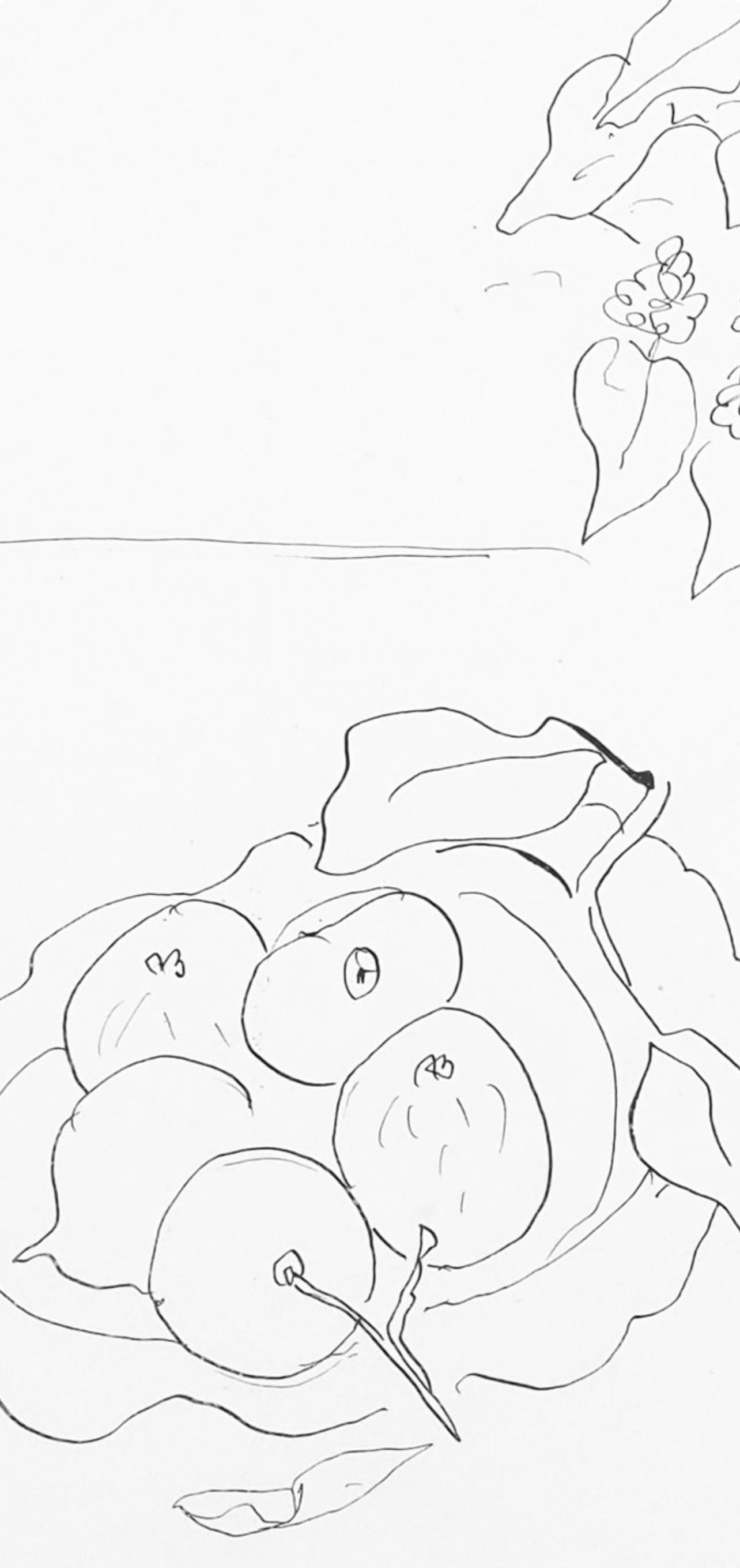 Henri Matisse, Srie S.A, Var. 1 (Duthuit 9), Henri Matisse, Dessins, Thmes Et Variations, Lithograph