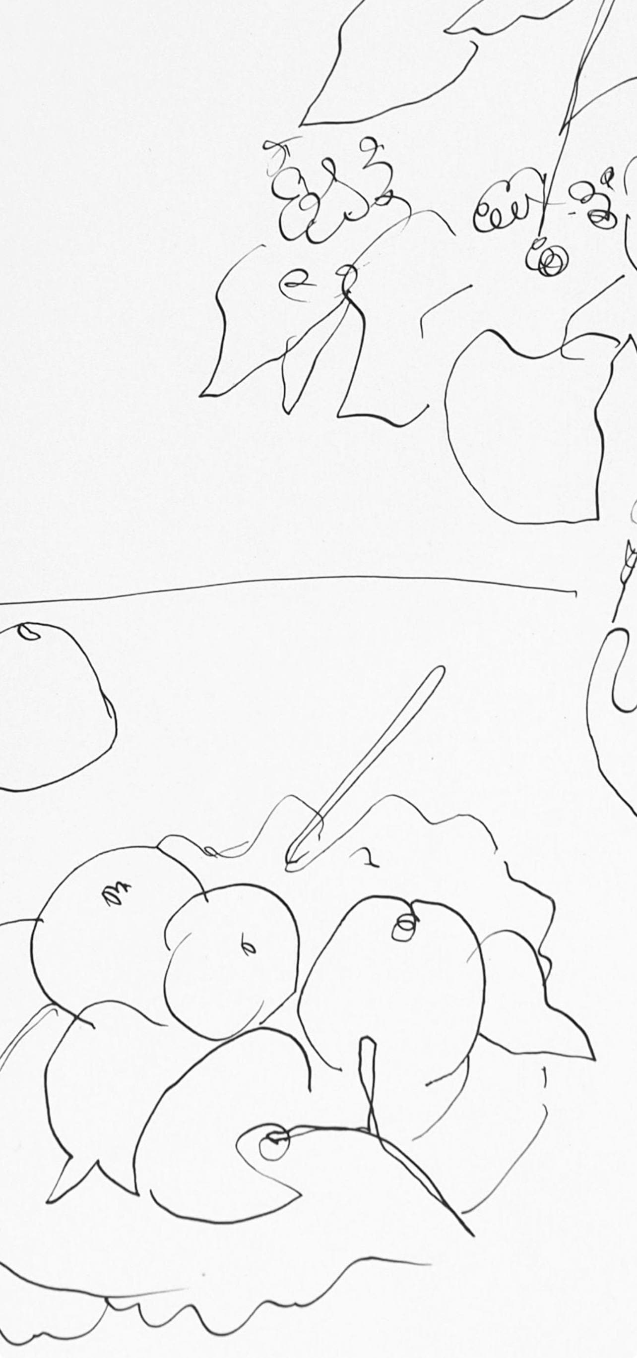 Henri Matisse, Srie A, Var. 3 (Duthuit 9), Henri Matisse, Dessins, Thmes Et Variations, Lithograph