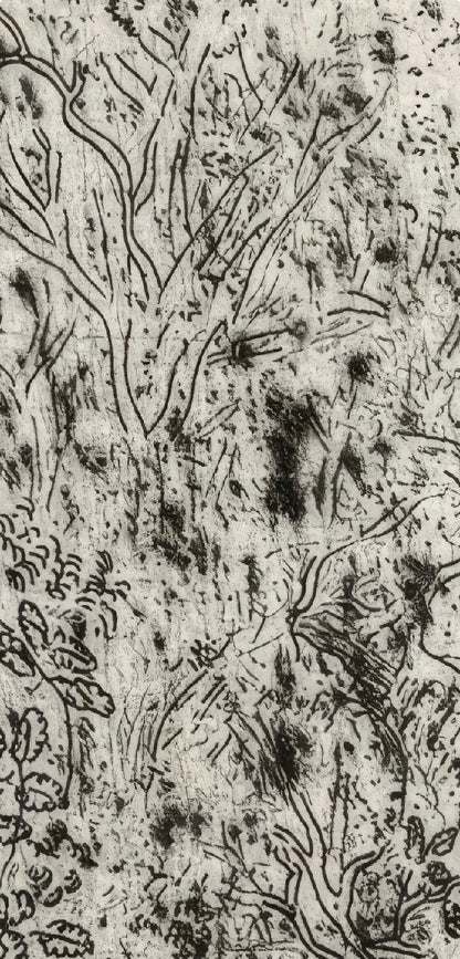 Marc Chagall, The Old Park of Pliouchkine, from Dead Souls, Etching, 19231927