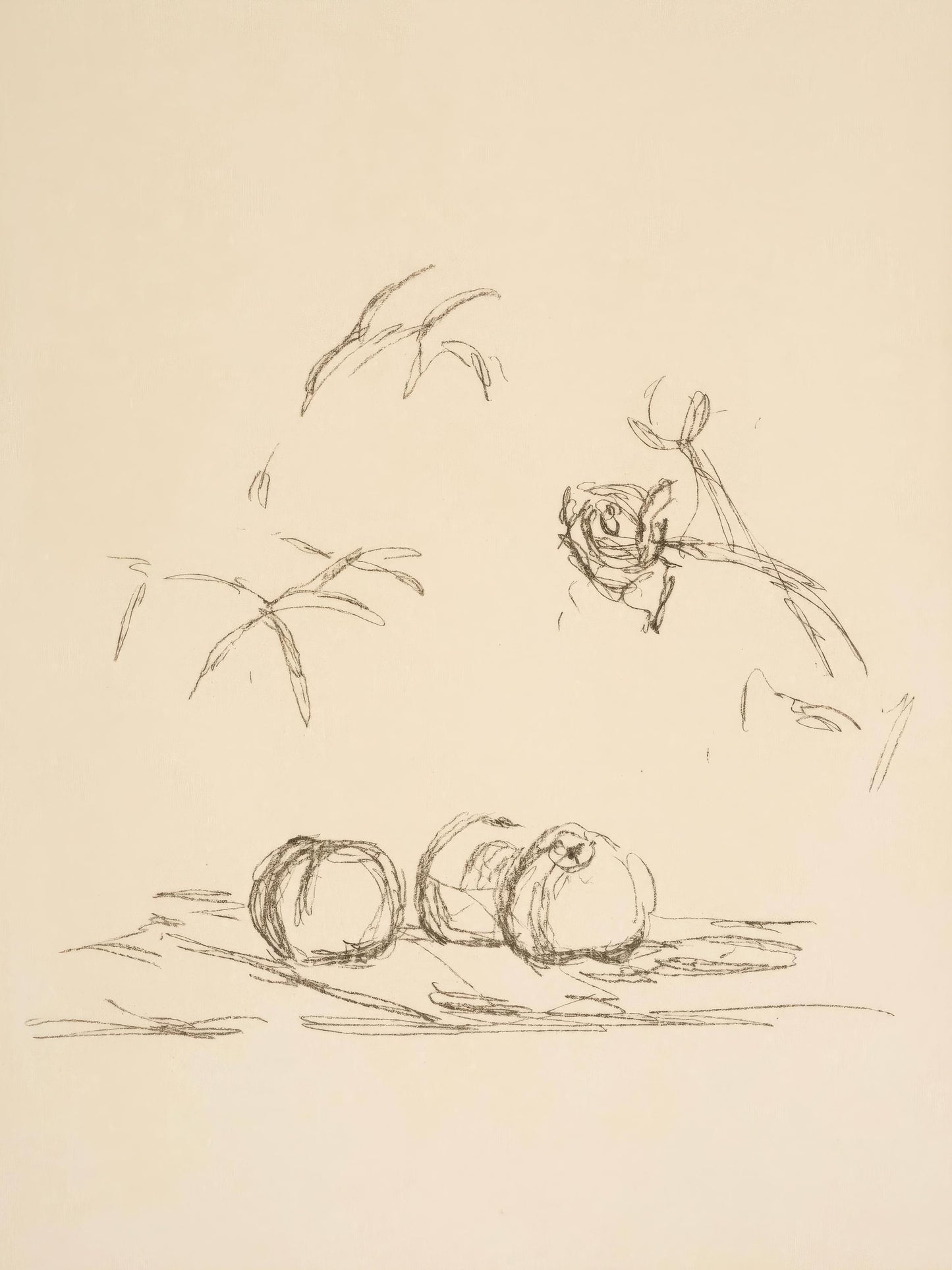 Alberto Giacometti, Flowers, from Memories and Portraits of Artists, Lithograph, 1972