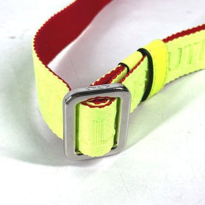 Christian Louboutin Belt Standard