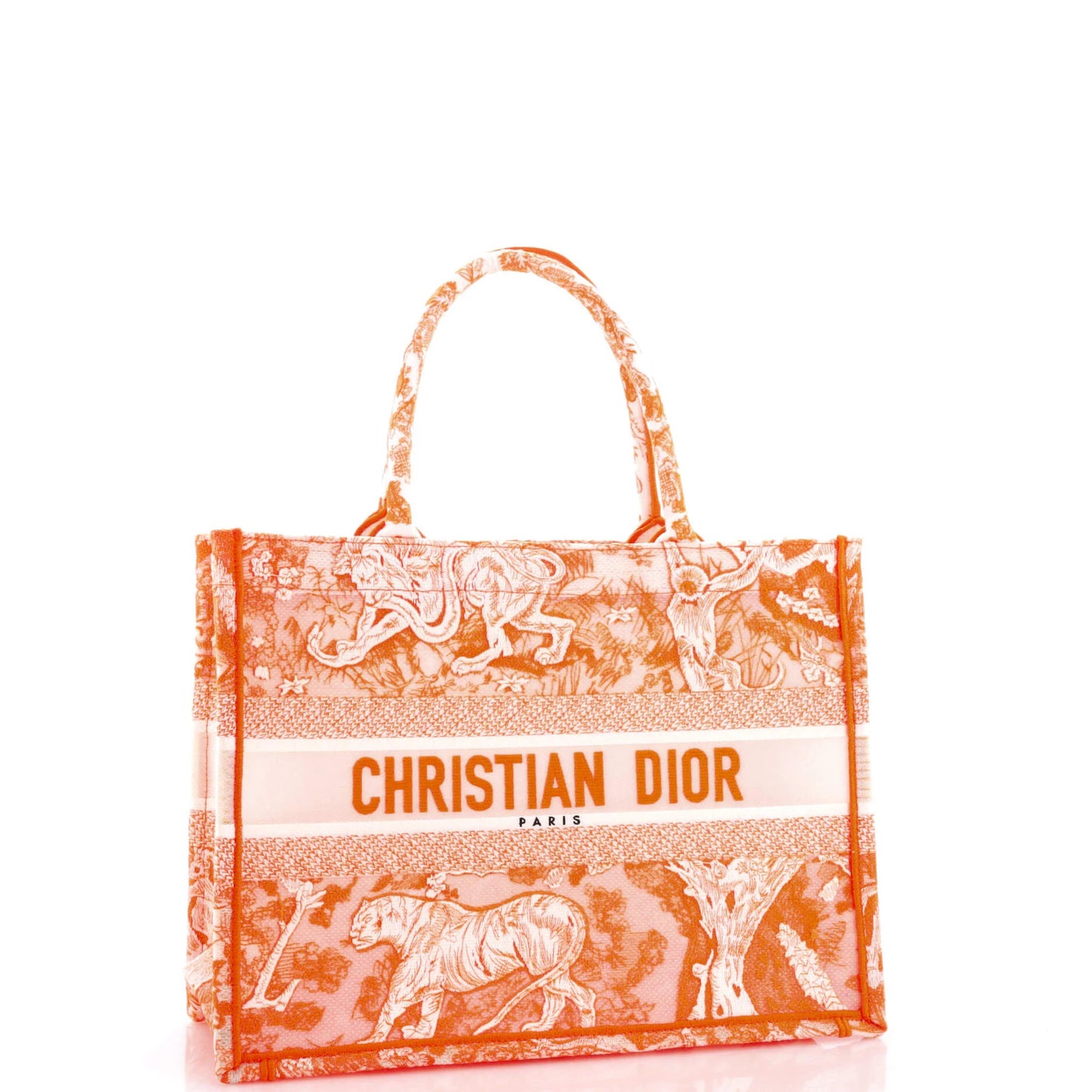Medium Christian Dior Book Tote Embroidered Canvas