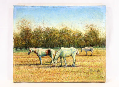 Valerie Pfeiffer Original Oil Painting -White Horses San Antonio De Areco Signed