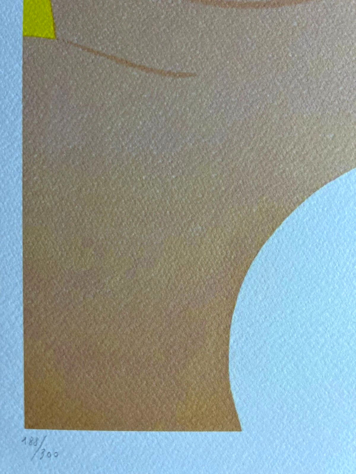 Tom Wesselmann Lithograph Coa Signed Op Numbered Limited 300 Ex