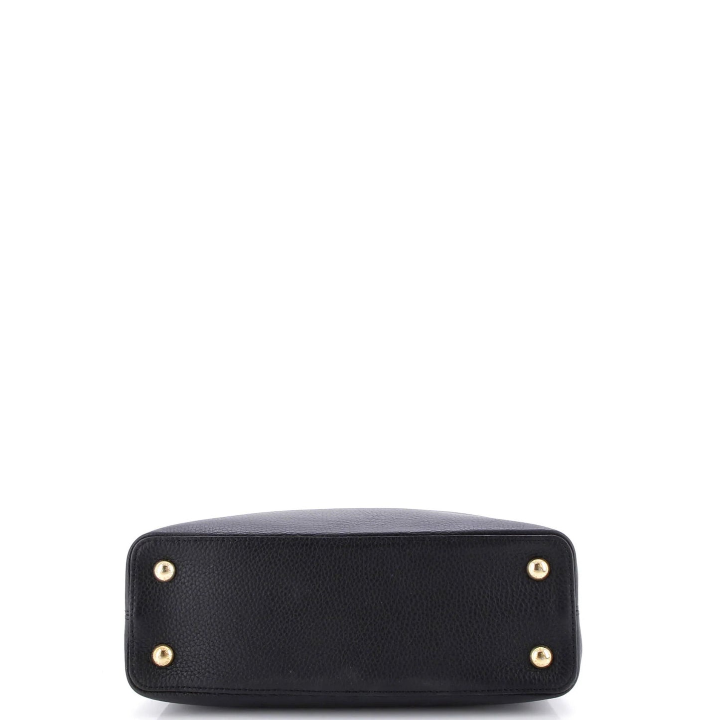 Louis Vuitton Capucines Bag Leather Pm