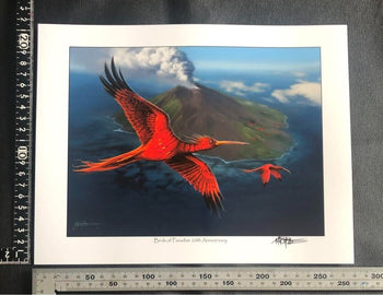 Birds Of Paradise Mtg Mark Poole Magic The