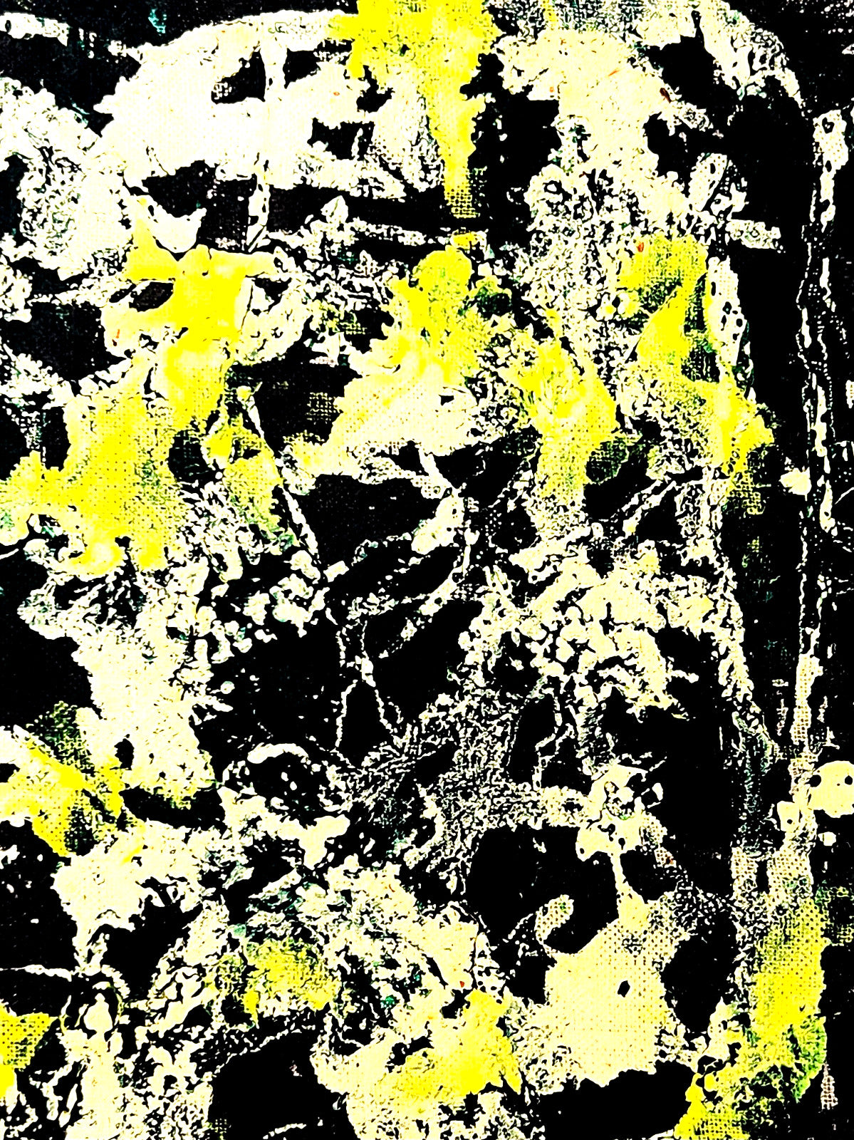 Jackson Pollock Action Painting Coa Signed Numbered By Hand. Eduardo Chillida