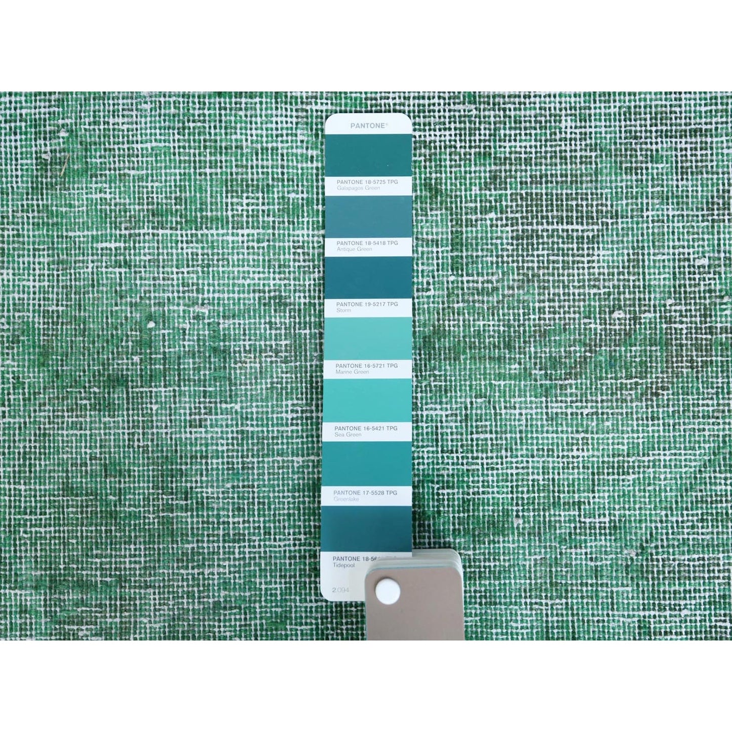 9'7"X12'5" Hand Knotted Shades Of Light Green Overdyed Farsian Karman Rug