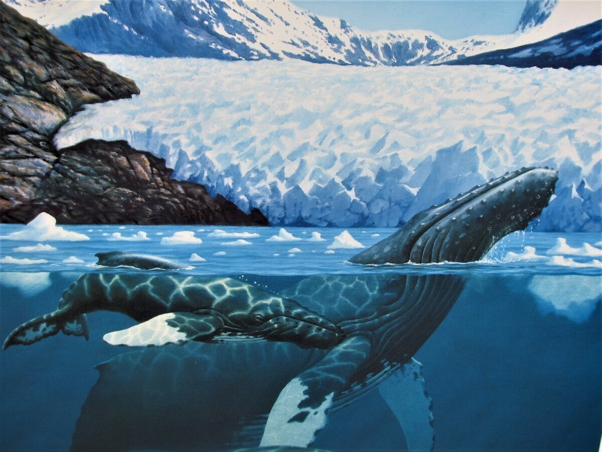 Don Mcmichael - 'Summer Feeding Ground' Offset Lithograph, Signed & Numbered