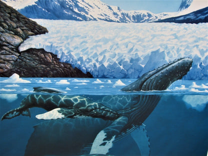 Don Mcmichael - 'Summer Feeding Ground' Offset Lithograph, Signed & Numbered