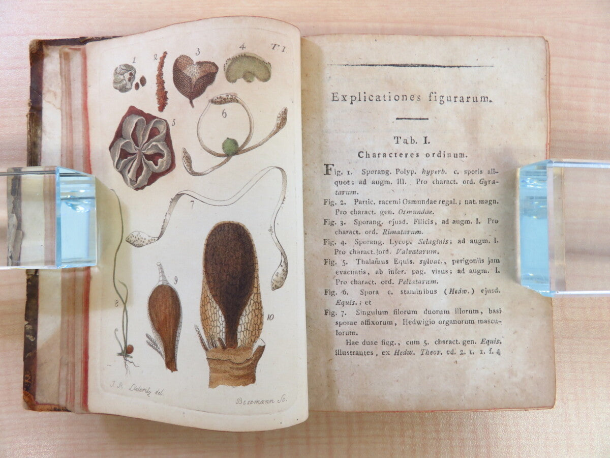 Friedrich Weber ?Botanisches Taschenbuch Auf Das Jahr 1807?Rare Botanical Book