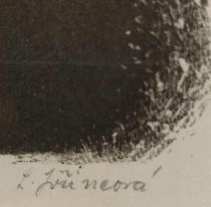 Framed - Ludmila Jirincova Signed Lithograph Woman Portrait Czech Modernist Art