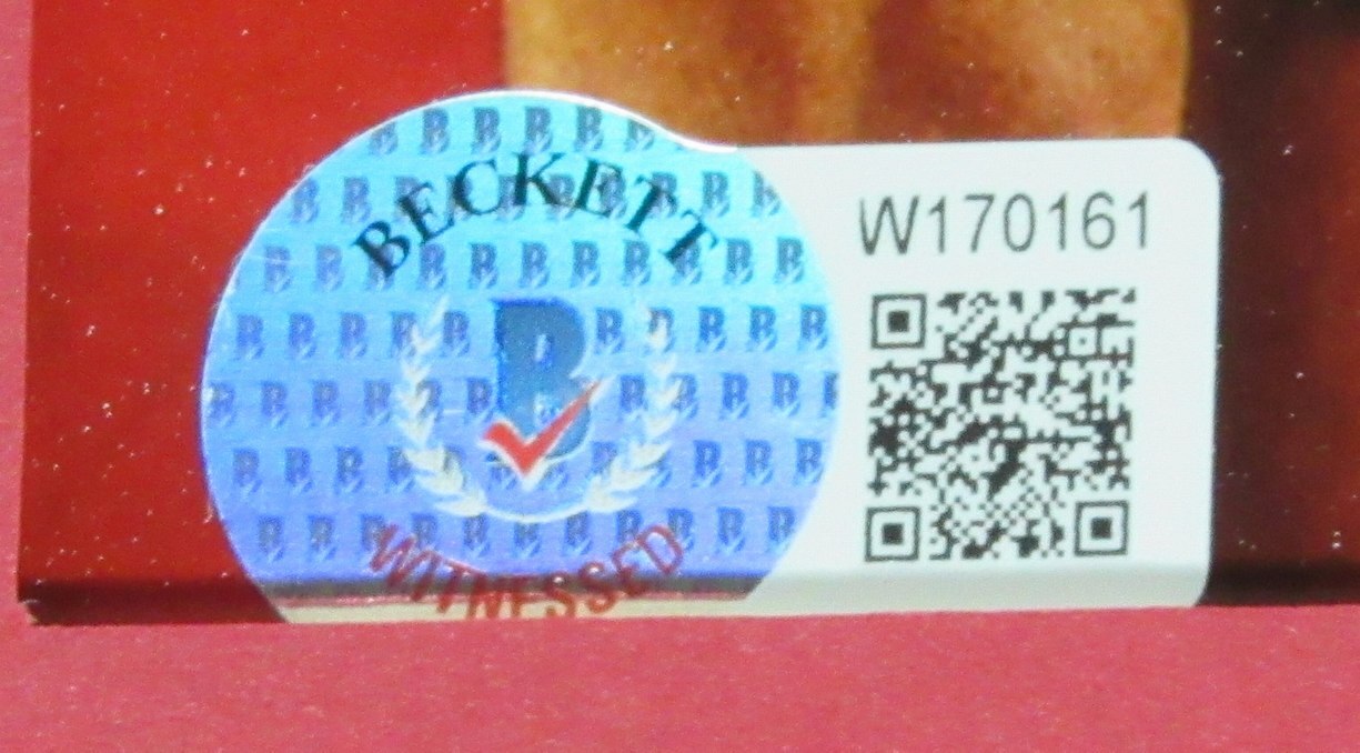 Scottie Pippen Hof Autographed 16X20 Photo Bulls Framed Beckett 176740